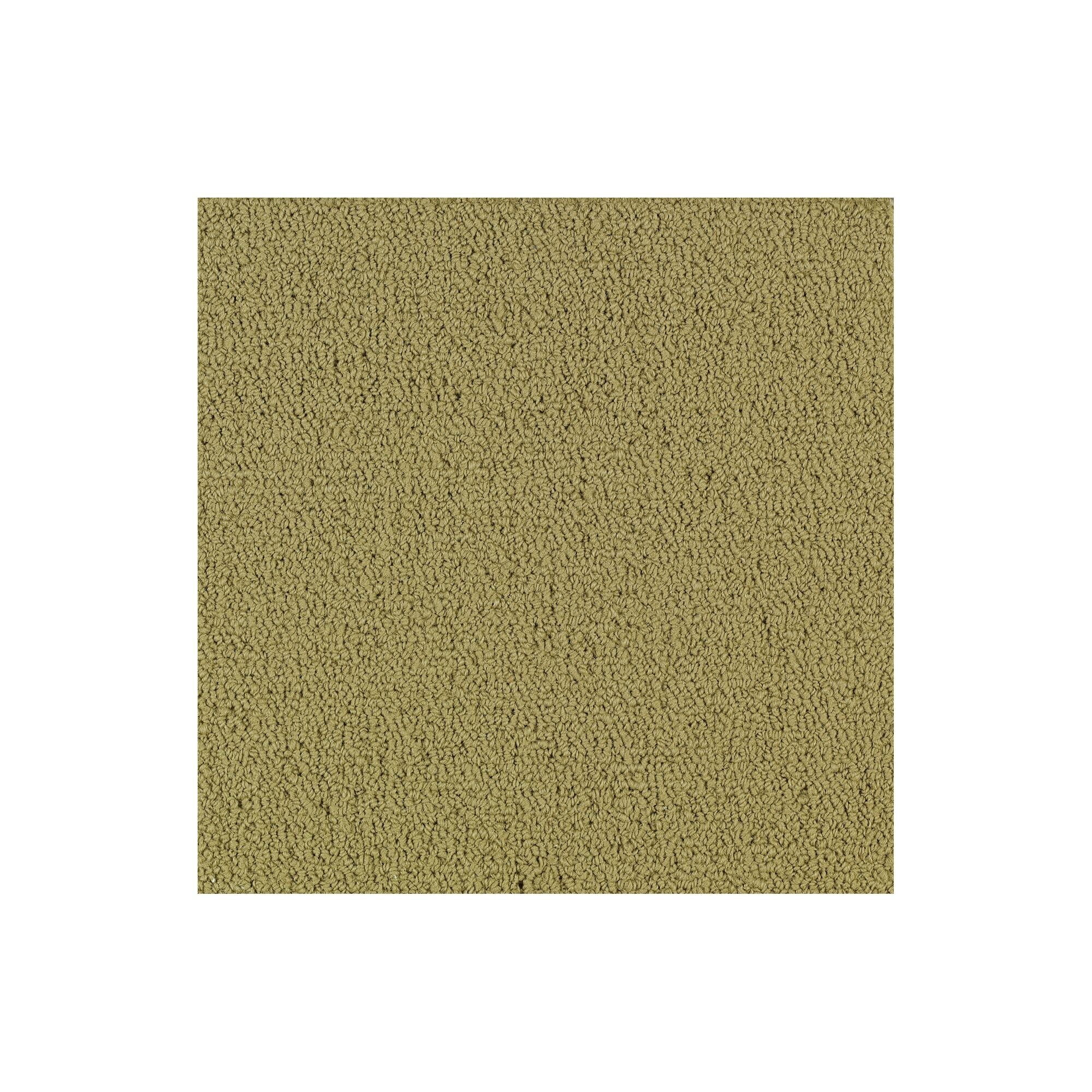 Shaw Philadelphia Commercial Color Accents TL 24" x 24" Glue Down