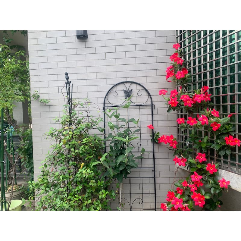 Metal Garden Trellis, 2 Pack Metal Trellis for Climbing Plants, Indoor/Outdoor Plant Trellis for Potted Plants House Plants