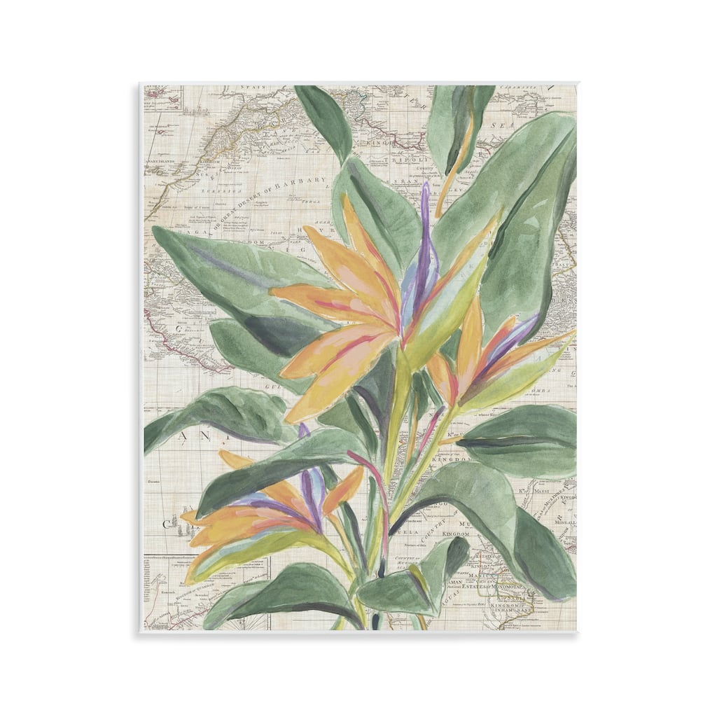 Stupell Tropical Flower over Map Wall Plaque Art Design By June Erica Vess