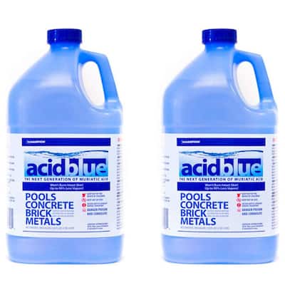 Champion Acid Blue Muriatic Acid for Removal of Stains on Driveways (2 Pack) - 19