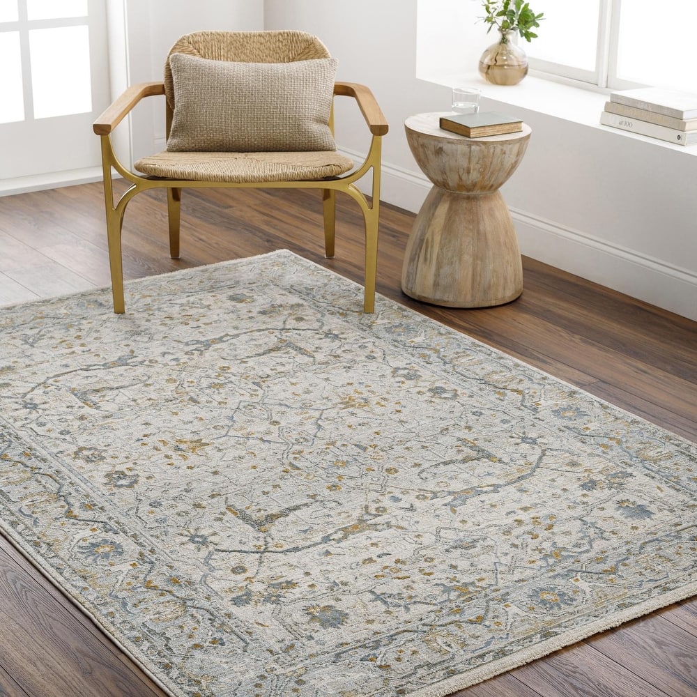 Livabliss Transitional Dresden Medallion Area Rug