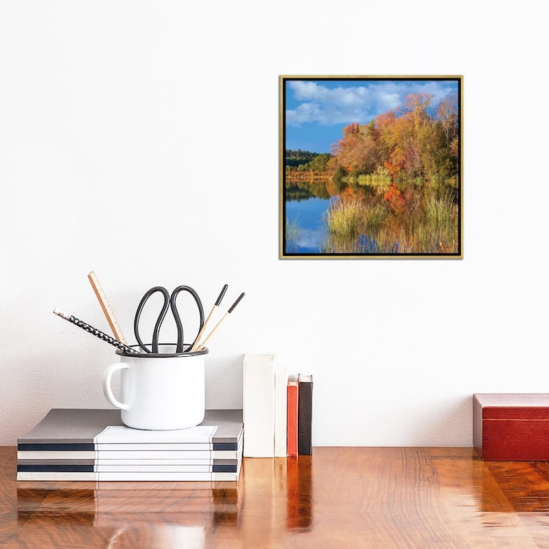 iCanvas "Autumn Along Lake, Tyler State Park, Texas" by Tim Fitzharris Framed Canvas Print