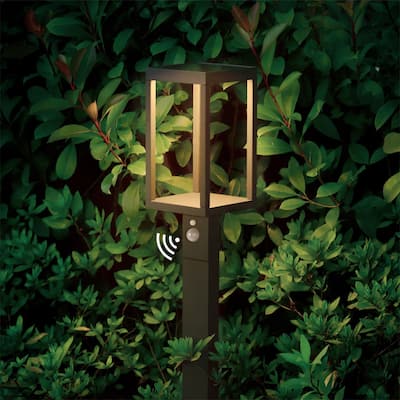 Solar Outdoor Pathway Sensor Light