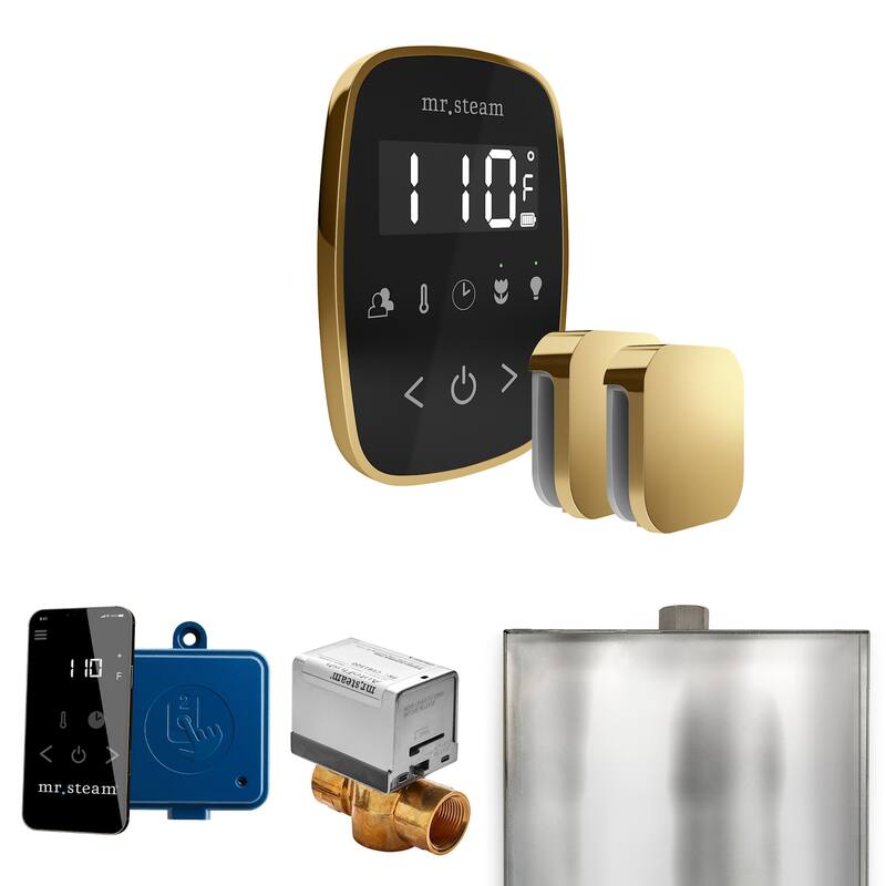 Mr Steam BFX Butler Flex Max Package Steam Shower Control Package with - Black / Polished Brass
