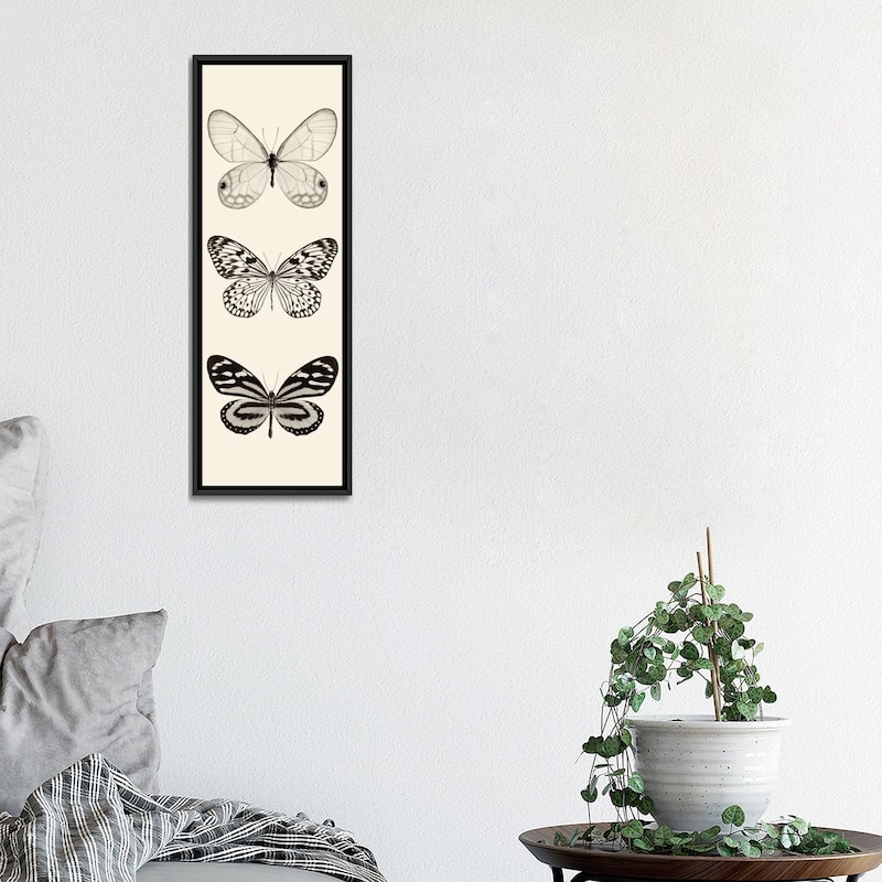 iCanvas "Butterfly Panel II In B&W" by Debra Van Swearingen Framed Canvas Print