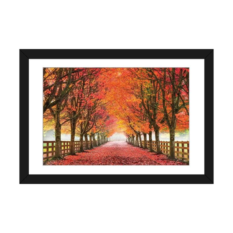 iCanvas "North Bend Trees" by Aaron Reed - Black - 24x32x1