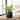 SAFAVIEH Outdoor Francia Black Planter.