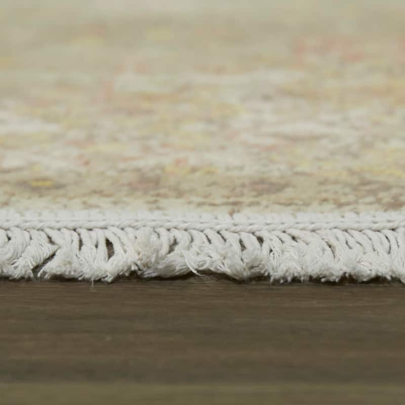Rosemarie Traditional Recycled Area Rug