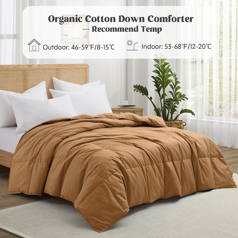 All Season 300TC Organic Cotton Down Comforter - 100% Natural, Chemical-Free, Medium Warmth Duvet Insert