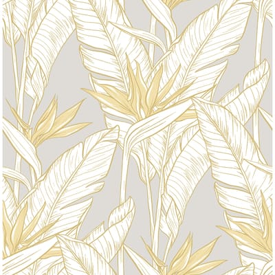 Stacy Garcia Home Birds of Paradise Peel and Stick Wallpaper