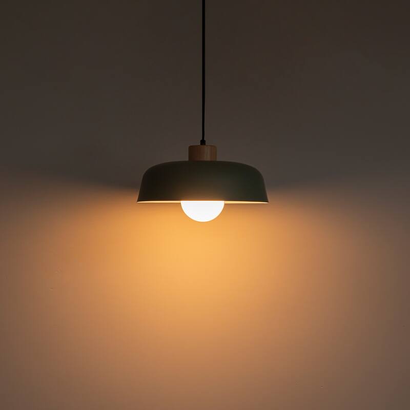 Modern 1-Light Green Dome Pendant Light with Decorative Wood Accent