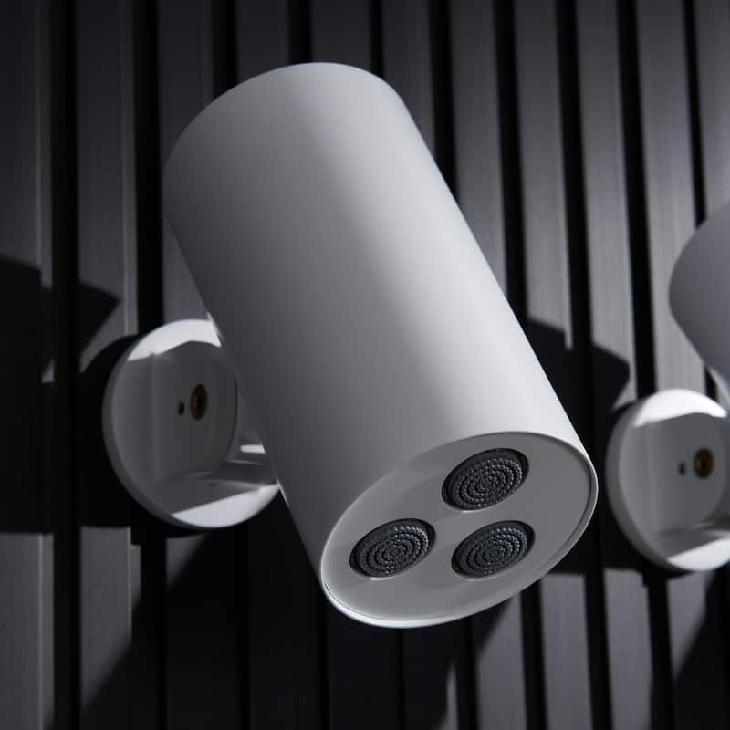 Wall-mounted adjustable showerhead