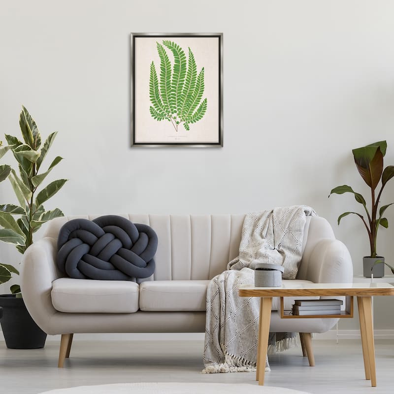 Stupell Cottage Ferns Study Framed Floater Canvas Wall Art Design By Phillipa Katz