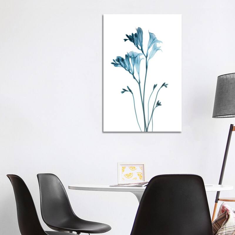 iCanvas "Blue Freesia" by Albert Koetsier Canvas Print - 40x26x1.5