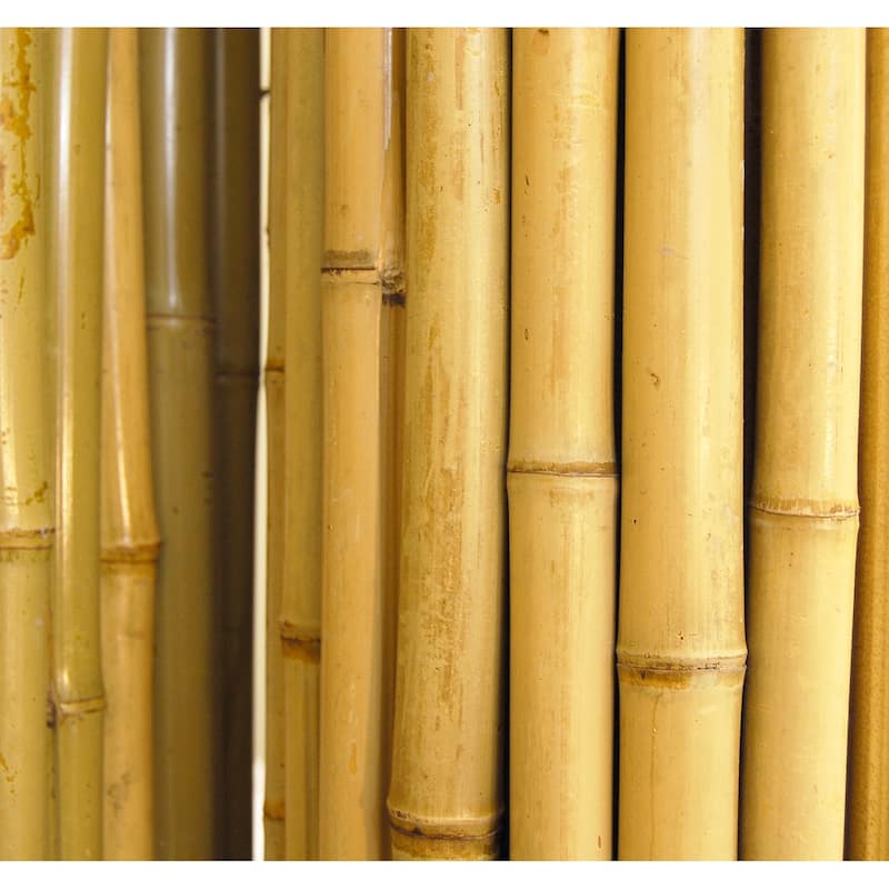 Natural Bamboo Fencing Decorative Fence Roll 6 ft H x 8 ft L x 1 in D - 6 ft. H X 8 ft. L x 1 in. D