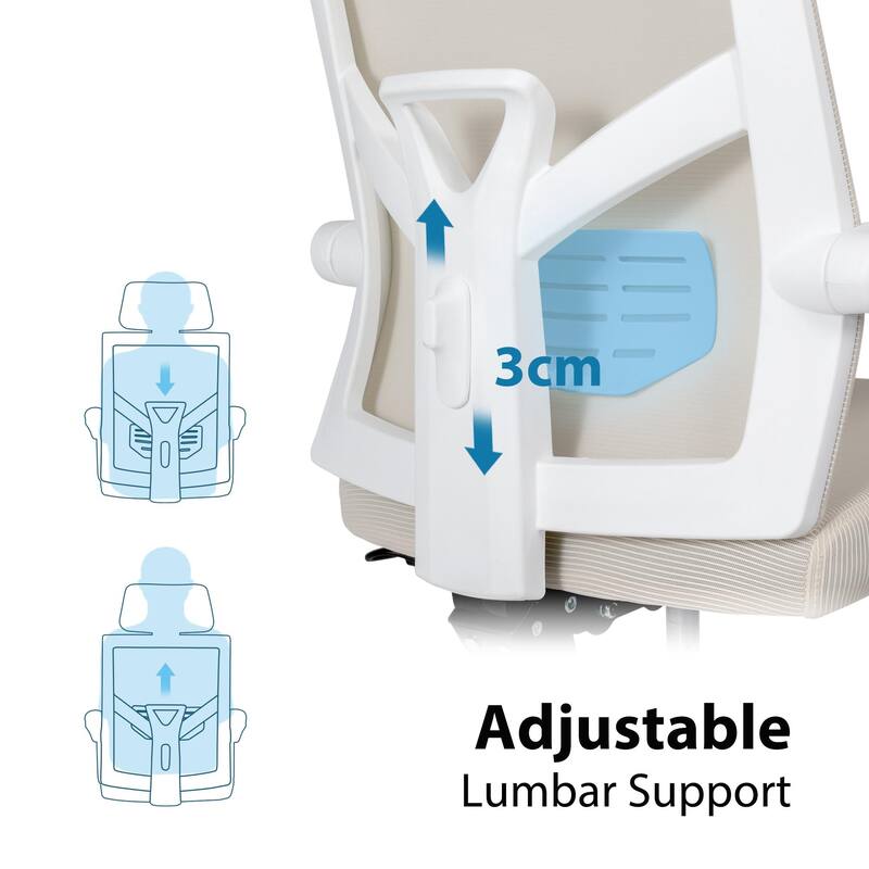 Ergonomic Mesh Office Chair with Adjustable Lumbar Support & Footrest