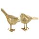 Option Gold - 7", 8"H