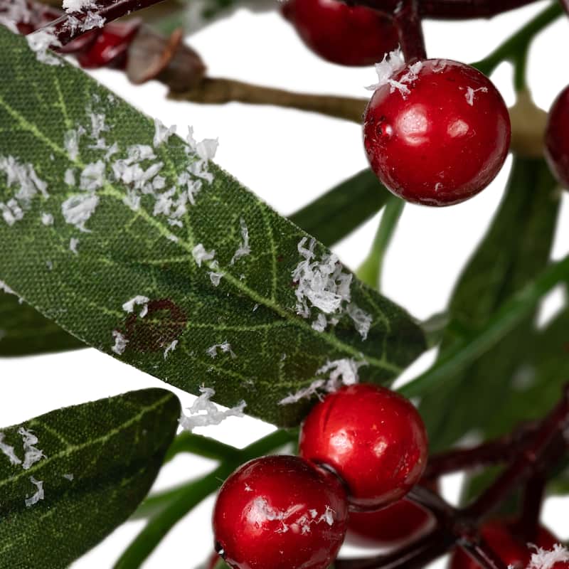 Frosted Red Berries with Leaves and Pine Artificial Christmas Wreath 18-inch Unlit - 18"