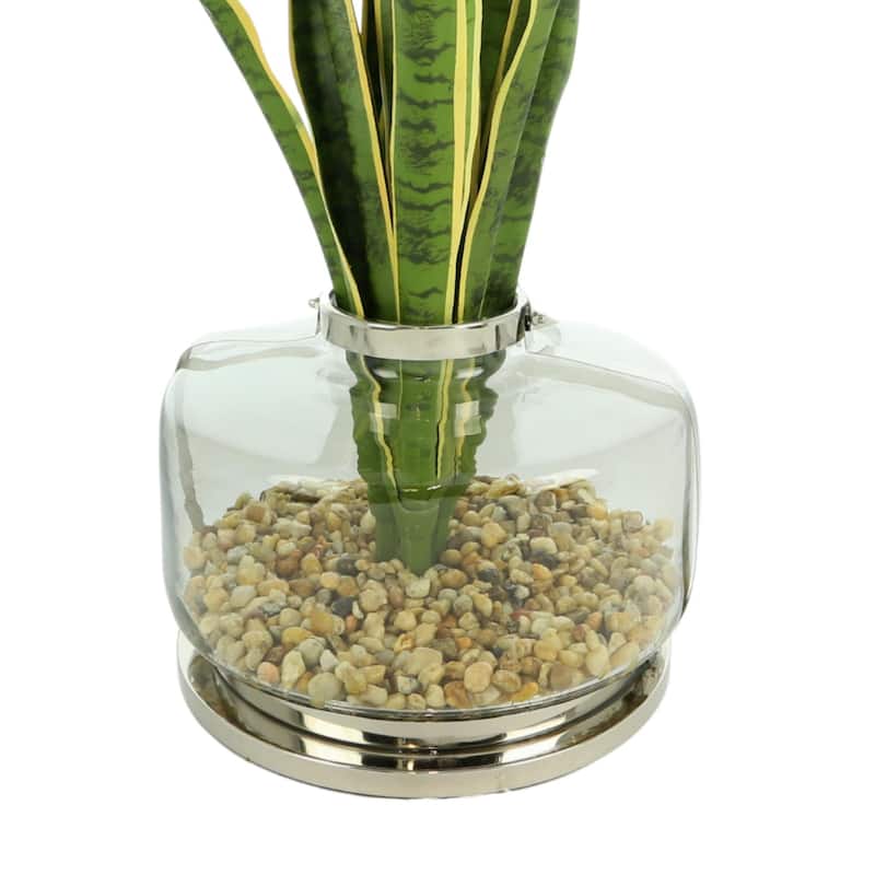 4 ft Snake Plant Arranged in a Glass Vase with Rocks - Green