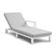 preview thumbnail 57 of 62, Benton Modern Aluminum Lounge Outdoor Double Chaise with Cushion - N/A