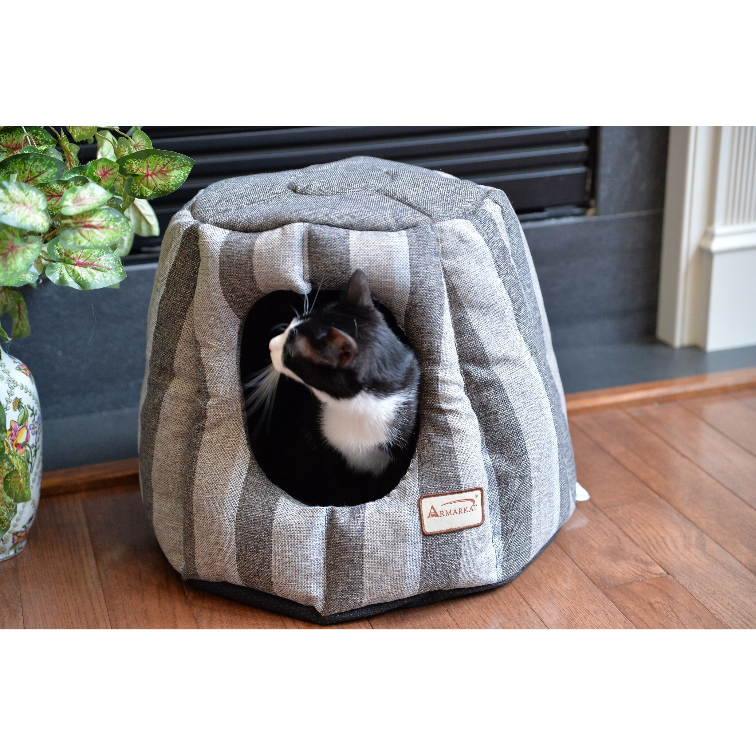 canvas cat bed