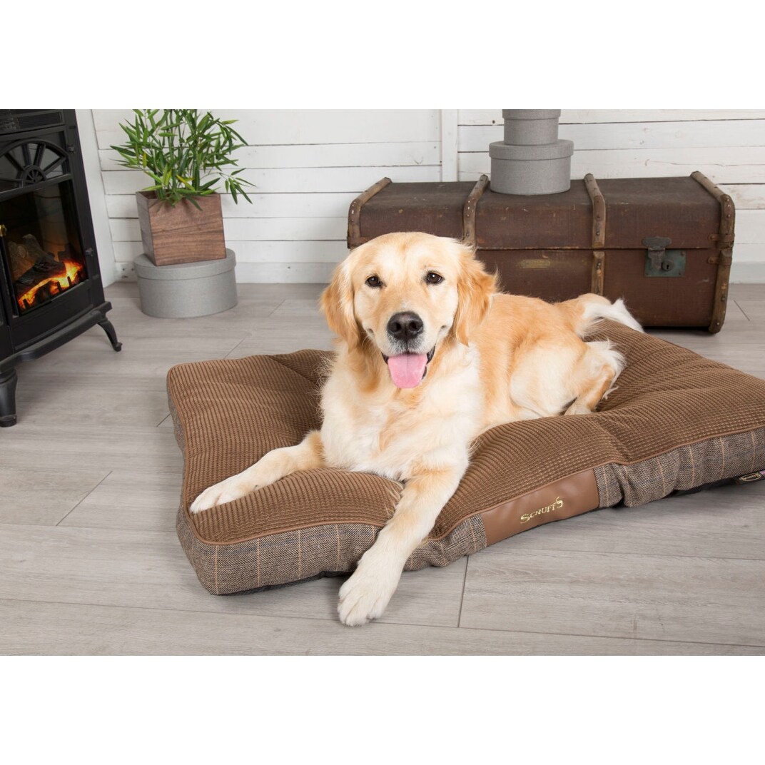 scruffs windsor dog bed