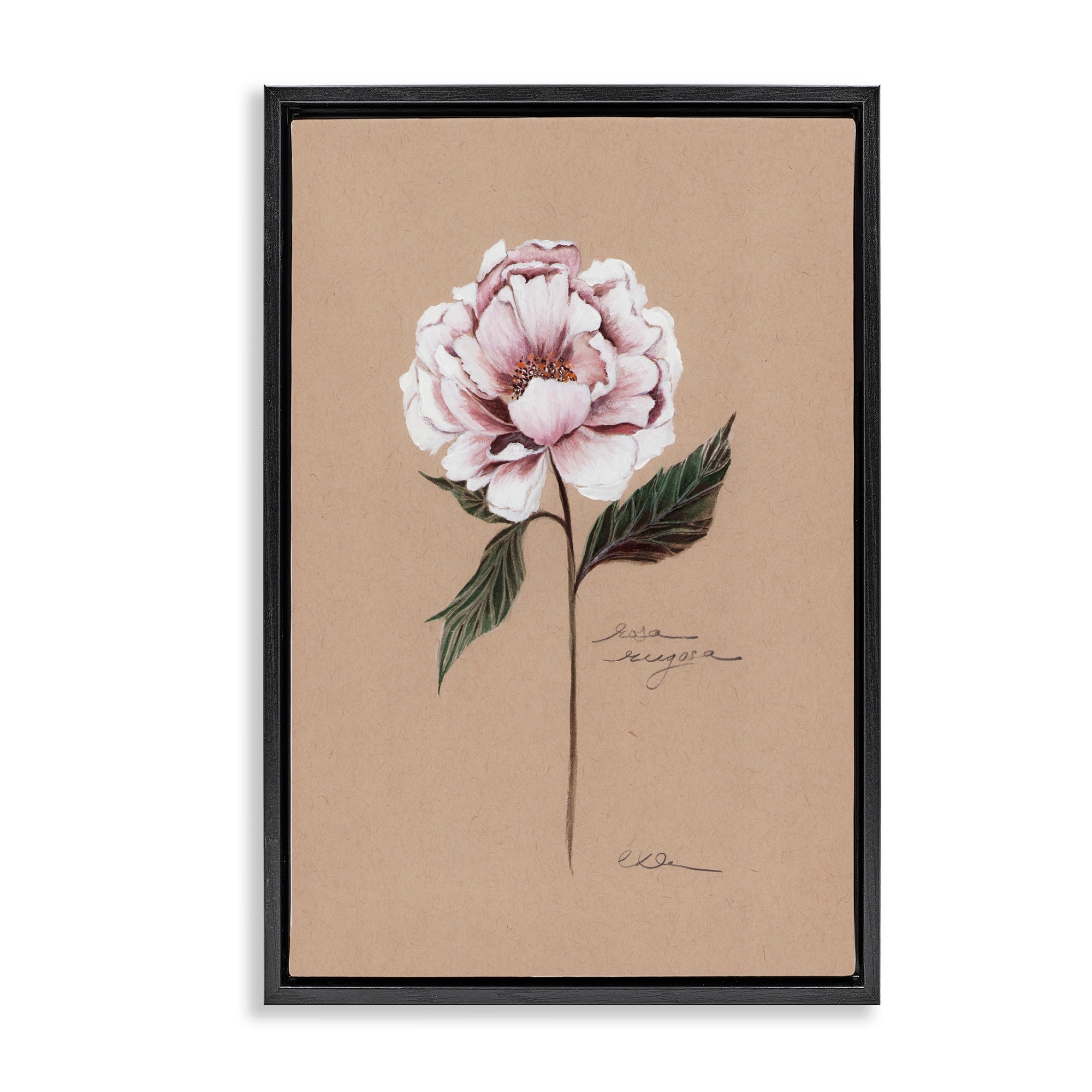 Stupell Vintage Flower Rounded Petals Framed Floater Canvas Wall Art Design By Cady Driver