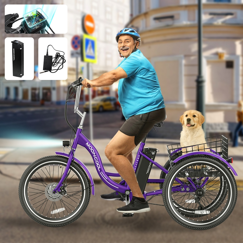 Merax best sale adult tricycle