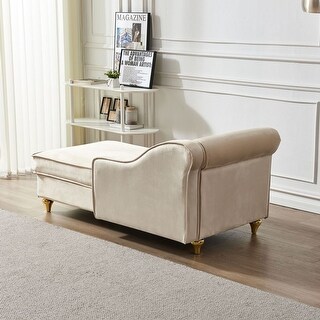 Modern Upholstery Chaise Lounge Chair with Storage Velvet - Bed Bath ...