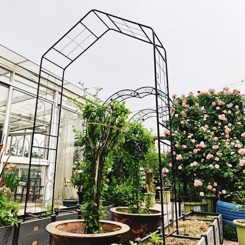 Metal Garden Arch Climbing Plants Support Rose Arch Outdoor