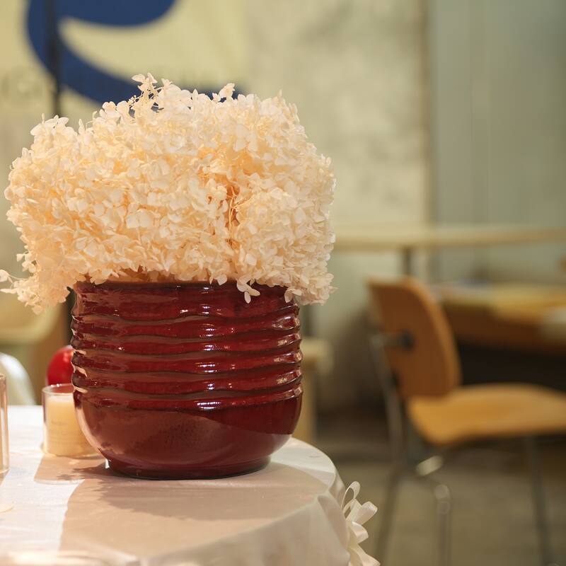 Indoor-Outdoor Handmade Ceramic Planter Set for Succulents and Cacti