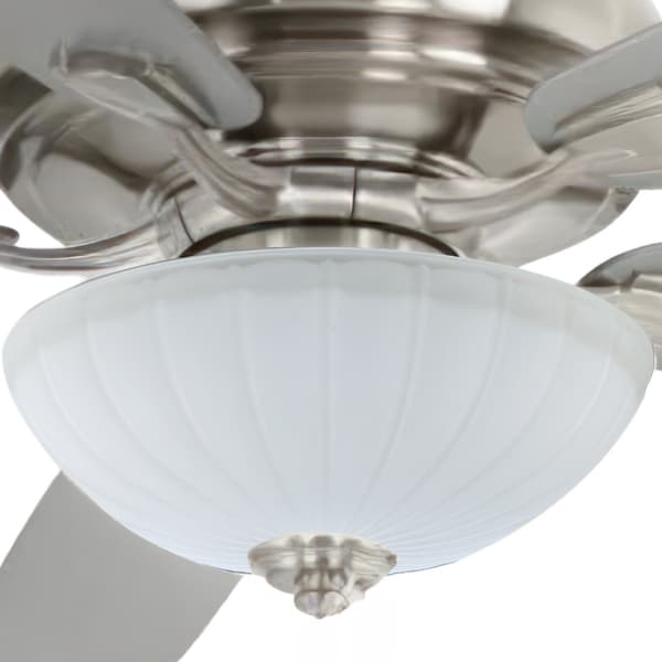 Replacement fan globes hotsell