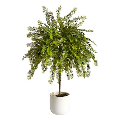 2' Northern Californian Cedar Canopy Artificial Tree in Decorative Planter