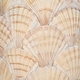 preview thumbnail 4 of 5, Sagebrook Home's Unique 12" Seashell Pineapple Decorative Object - 5" x 5" x 12"