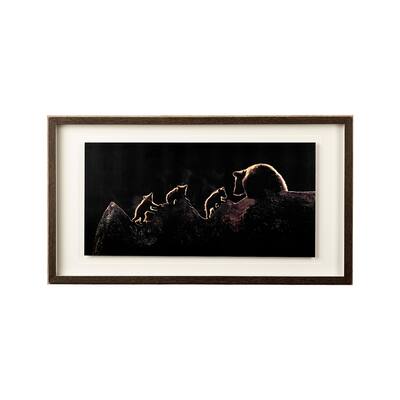 Triplets Framed Art Print