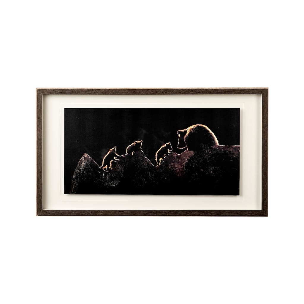 Triplets Framed Art Print