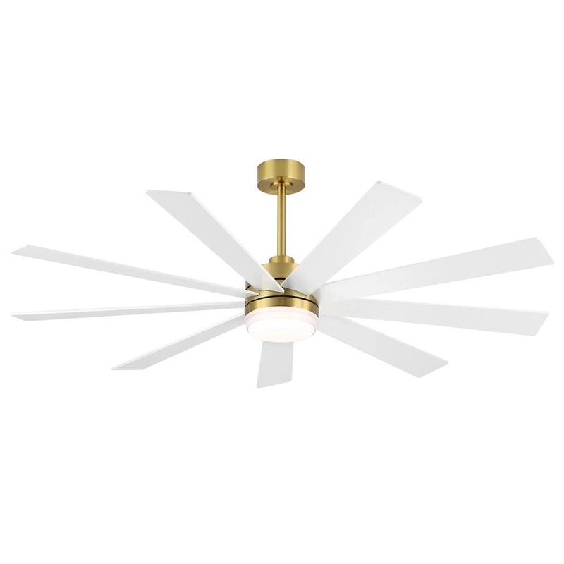 MLiAN DC Motor Indoor Ceiling Fan with Light and Remote