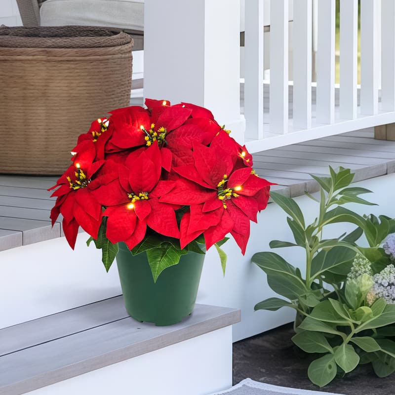 Puleo International 22" Pre-Lit Battery-Operated Artificial Potted Red Poinsettias - Red