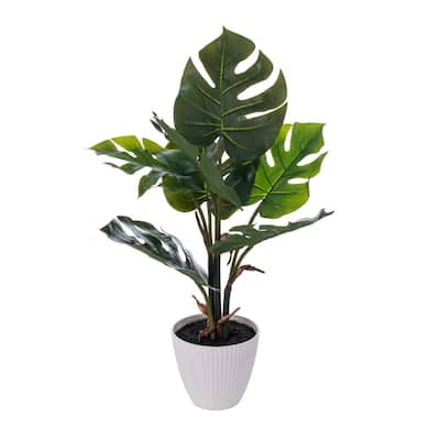 Vickerman 18" Green Monstera Plant x7 in White Pot.