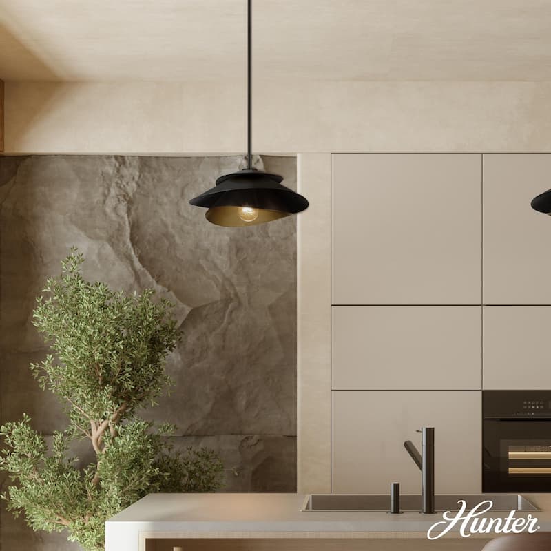 Hunter Hiro 1 Light Pendant - Kitchen, Dining Room, Entry - Contemporary, Modern - Statement Lighting!