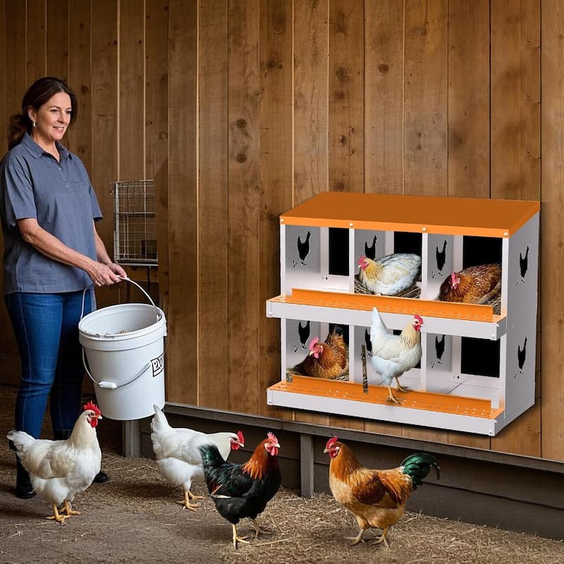6 Compartment Metal Chicken Nesting Box, Laying Box for Hens Ducks Rabbits, Orange