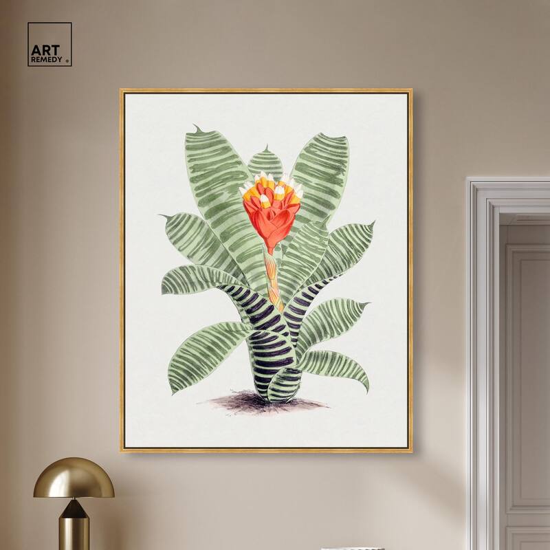 Tillandsia Musaica Plant Canvas by Art Remedy