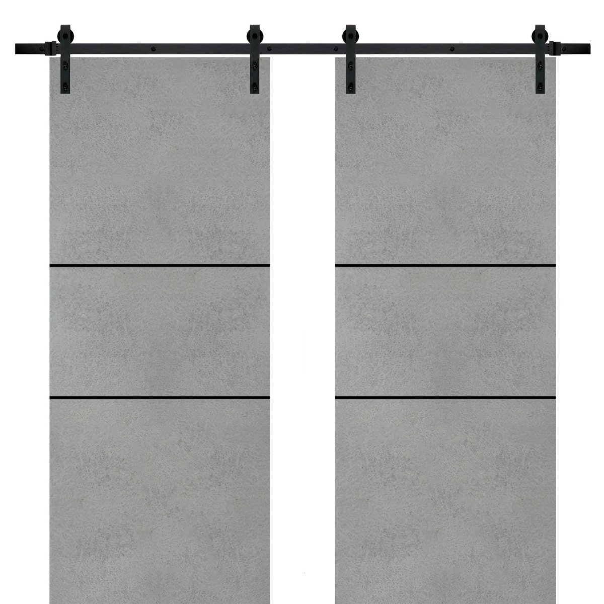 Sturdy Double Barn Door 36 x 80 with Planum 0014 Concrete with 13FT