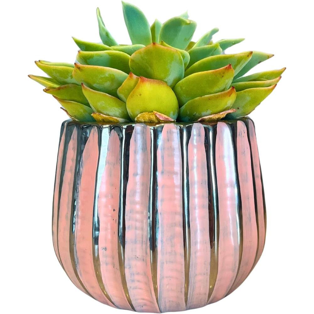 4.5 inch Ceramic Flower Pot