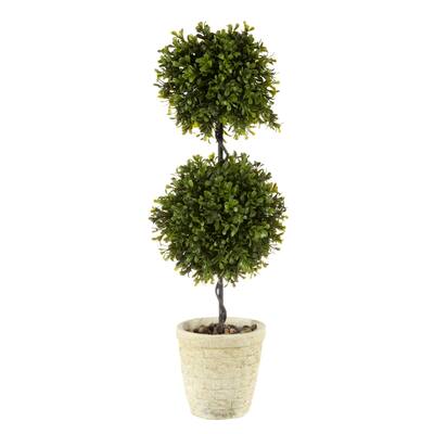 Regency Spring Boxwood Double Ball Topiary in Pot 24"