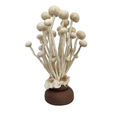 Enoki Mushroom Sculpture- A
