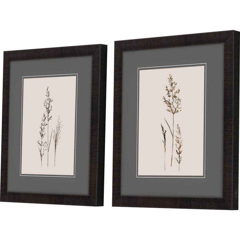 Delicate Stems S/2 Framed Art Under Glass