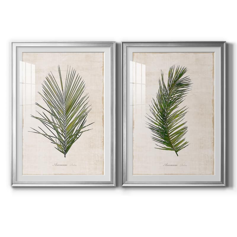 Palm Botanical I Premium Framed Print - Ready to Hang