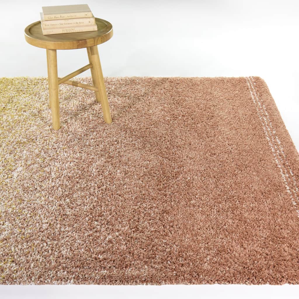 Cybele Gradient Shag Area Rug