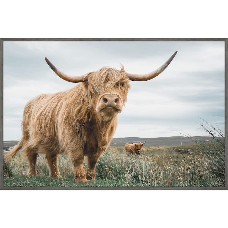 Grazing Cattles Floater Framed Print on Canvas